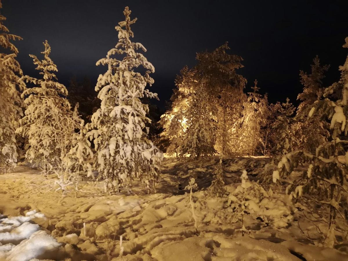 Cosy, Homely House With A Large Courtyard Saarenkylä エクステリア 写真